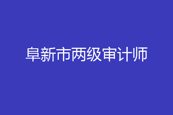 阜新市两级审计师