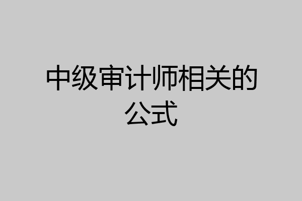 中级审计师相关的公式