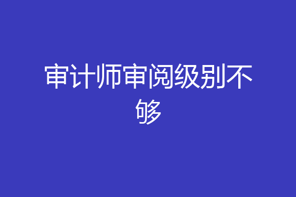 审计师审阅级别不够