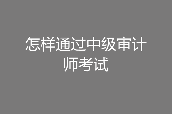 怎样通过中级审计师考试