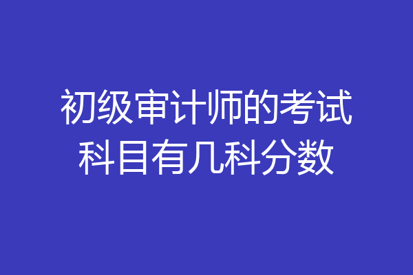 初级审计师的考试科目有几科分数