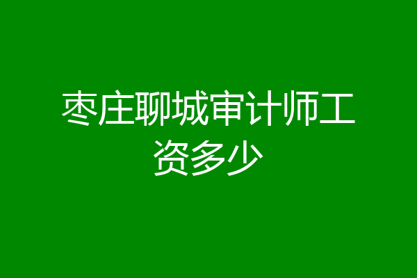 枣庄聊城审计师工资多少