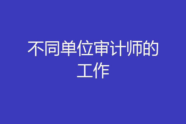 不同单位审计师的工作