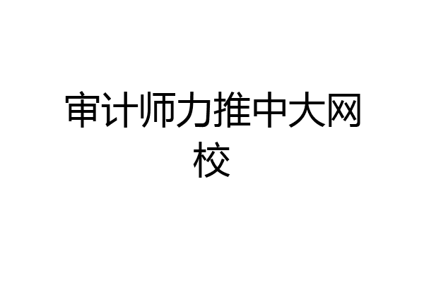 审计师力推中大网校