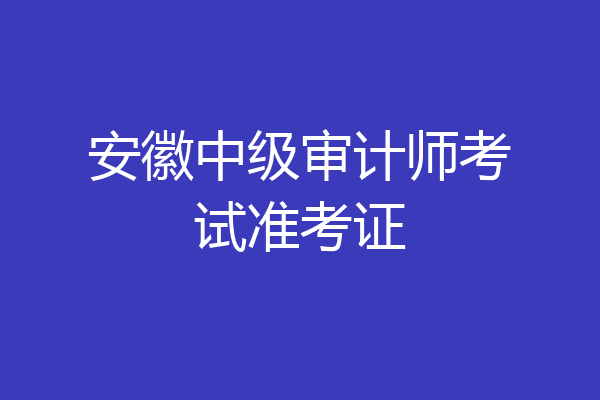 安徽中级审计师考试准考证