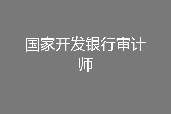 国家开发银行审计师