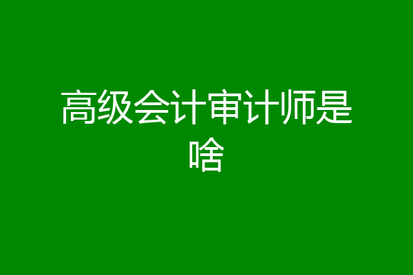 高级会计审计师是啥