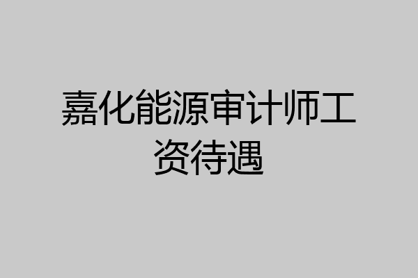 嘉化能源审计师工资待遇