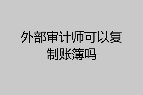 外部审计师可以复制账簿吗