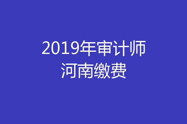 2019年审计师河南缴费