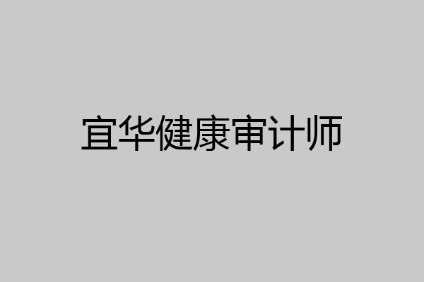 宜华健康审计师