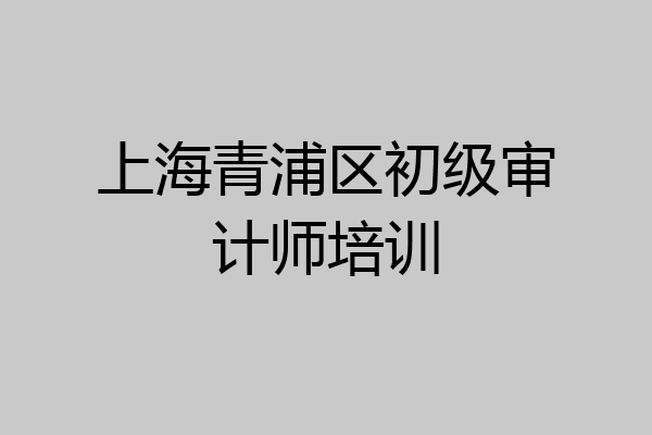 上海青浦区初级审计师培训