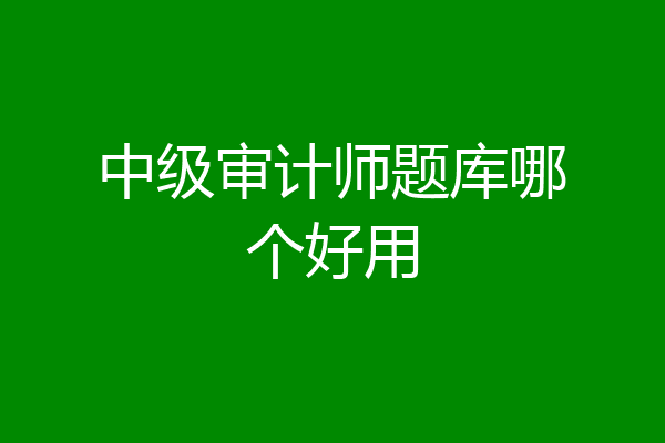 中级审计师题库哪个好用