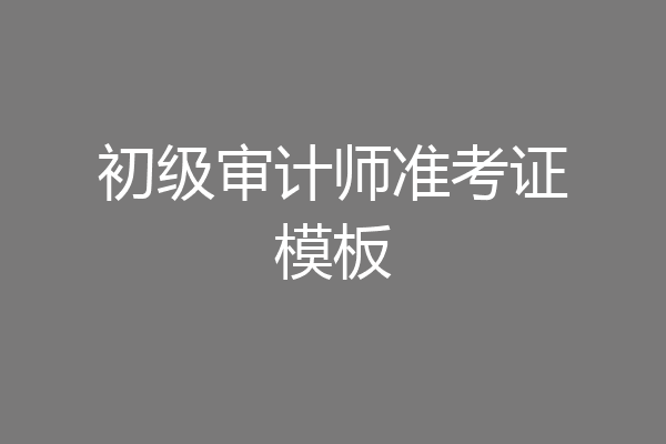 初级审计师准考证模板
