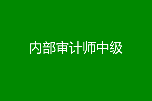 内部审计师中级