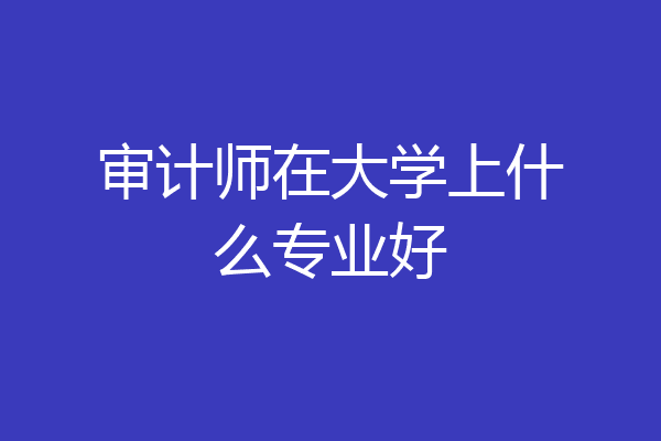 审计师在大学上什么专业好