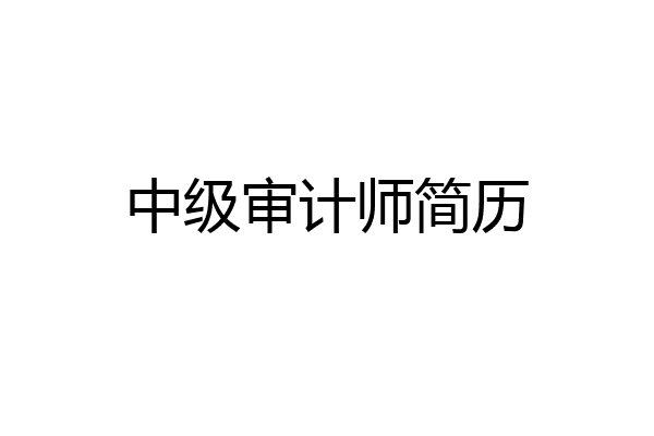 中级审计师简历