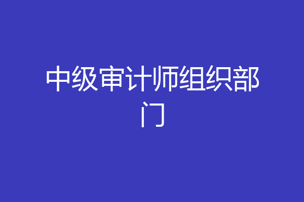 中级审计师组织部门