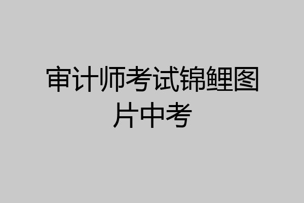 审计师考试锦鲤图片中考