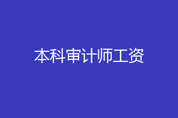 本科审计师工资