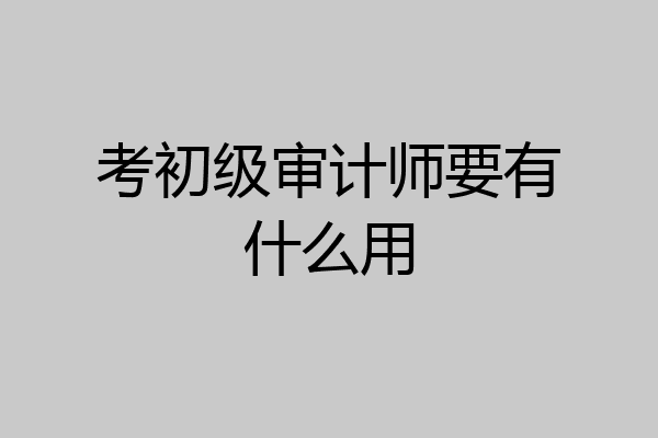 考初级审计师要有什么用