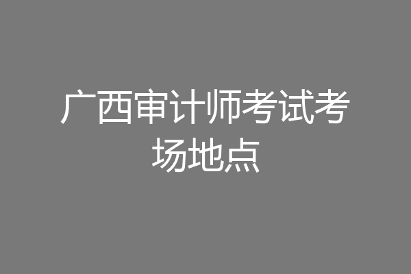 广西审计师考试考场地点