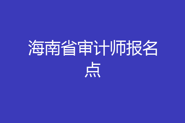 海南省审计师报名点