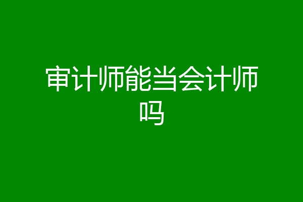 审计师能当会计师吗