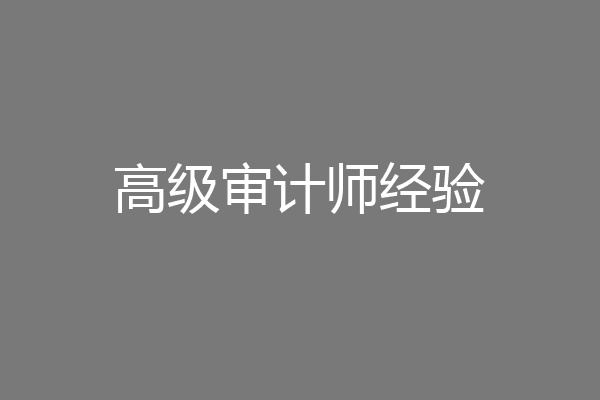 高级审计师经验