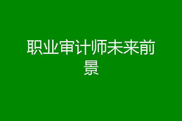 职业审计师未来前景