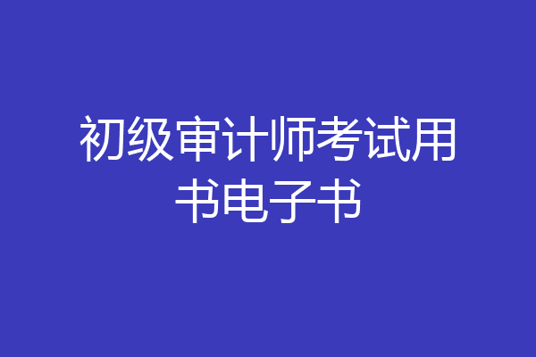 初级审计师考试用书电子书