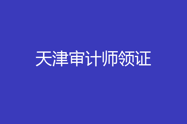 天津审计师领证