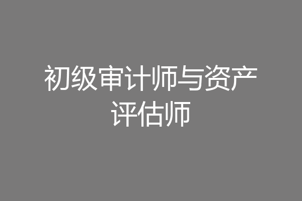 初级审计师与资产评估师