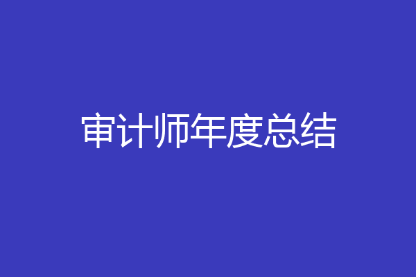 审计师年度总结