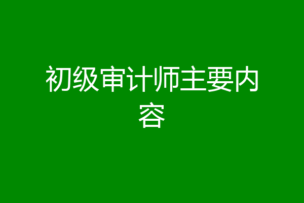 初级审计师主要内容