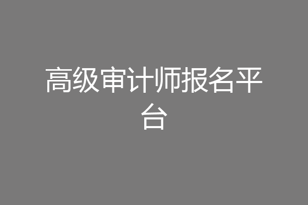 高级审计师报名平台