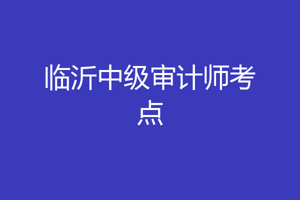 临沂中级审计师考点