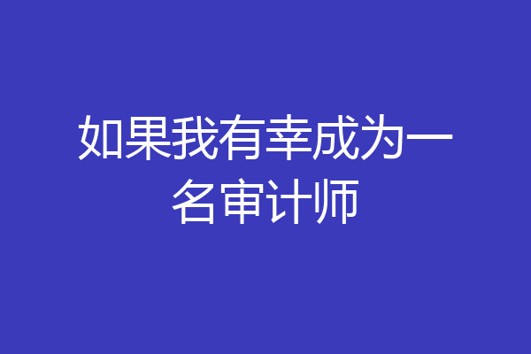 如果我有幸成为一名审计师