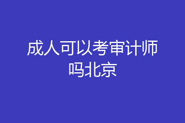 成人可以考审计师吗北京