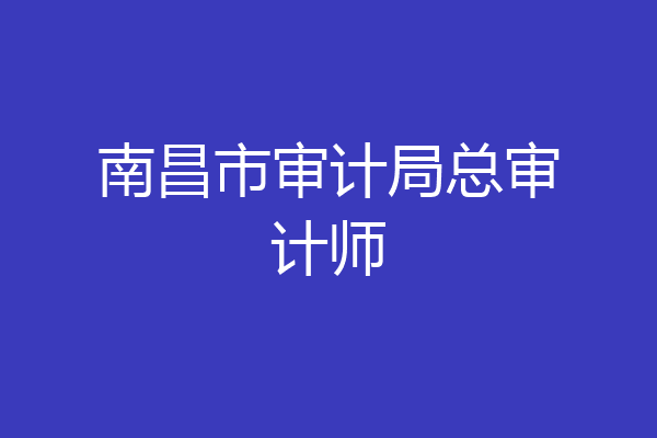 南昌市审计局总审计师