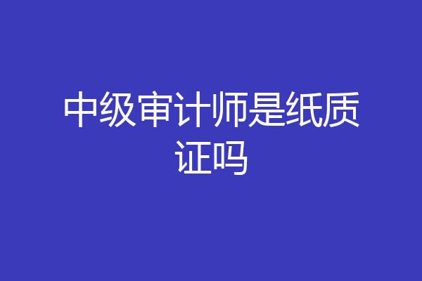 中级审计师是纸质证吗
