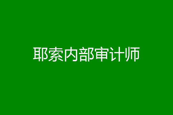 耶索内部审计师