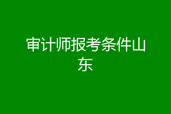 审计师报考条件山东