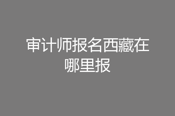 审计师报名西藏在哪里报