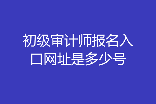 初级审计师报名入口网址是多少号