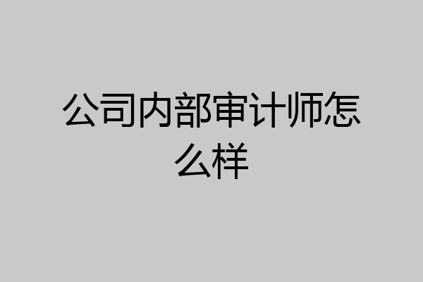公司内部审计师怎么样