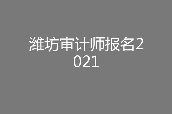 潍坊审计师报名2021
