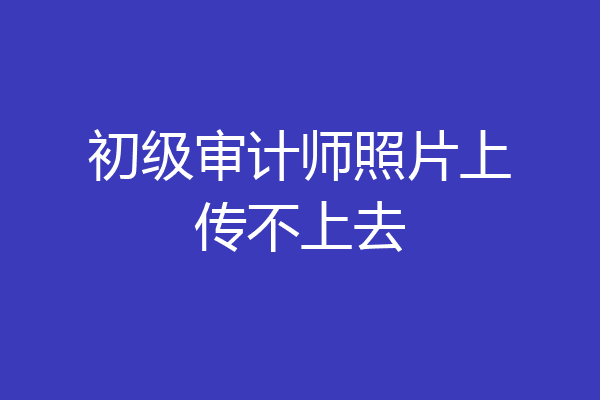 初级审计师照片上传不上去