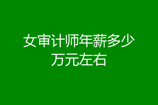 女审计师年薪多少万元左右