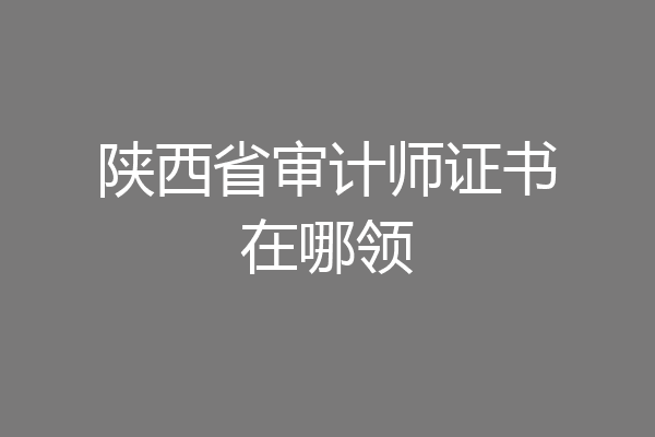 陕西省审计师证书在哪领